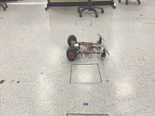 cao2023doublebee.gif
